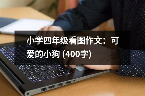 小學四年級看圖作文：可愛的小狗 (400字)