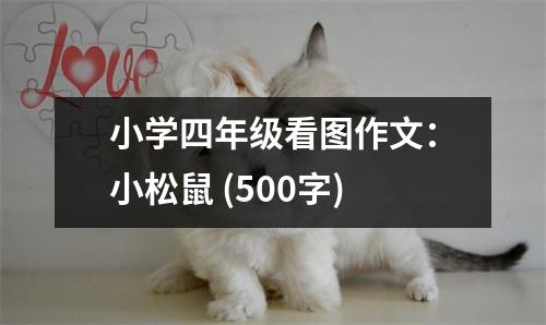 小學四年級看圖作文：小松鼠 (500字)