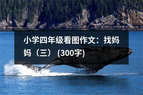 小學四年級看圖作文：找媽媽（三） (300字)
