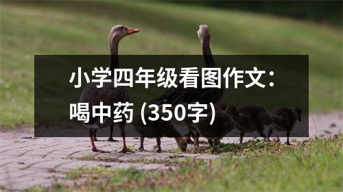 小學四年級看圖作文：喝中藥 (350字)