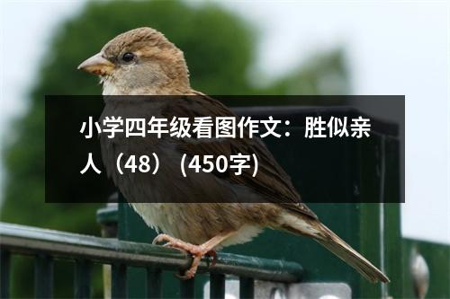 小學四年級看圖作文：勝似親人（48） (450字)