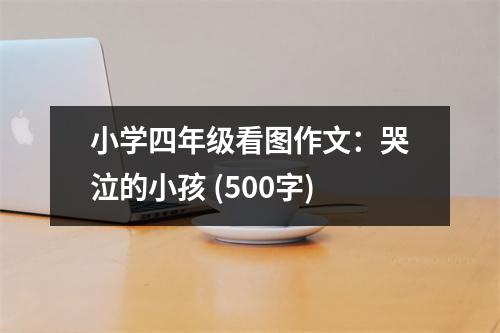 小學四年級看圖作文：哭泣的小孩 (500字)