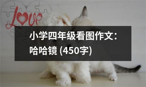 小學(xué)四年級(jí)看圖作文：哈哈鏡 (450字)
