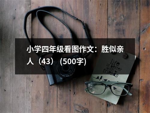 小學(xué)四年級(jí)看圖作文：勝似親人（43） (500字)