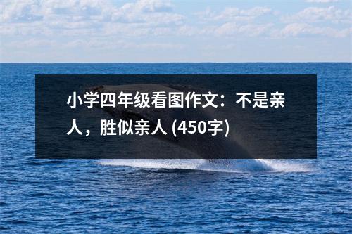 小學(xué)四年級(jí)看圖作文：不是親人，勝似親人 (450字)