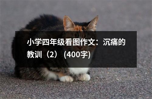 小學(xué)四年級(jí)看圖作文：沉痛的教訓(xùn)（2） (400字)