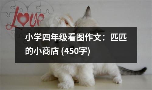 小學(xué)四年級看圖作文：匹匹的小商店 (450字)