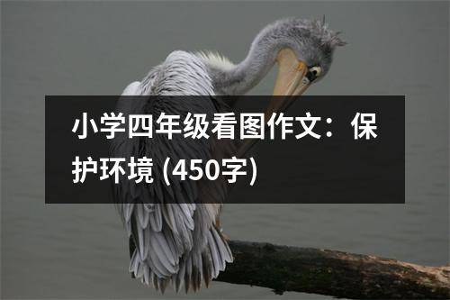 小學(xué)四年級看圖作文：保護環(huán)境 (450字)