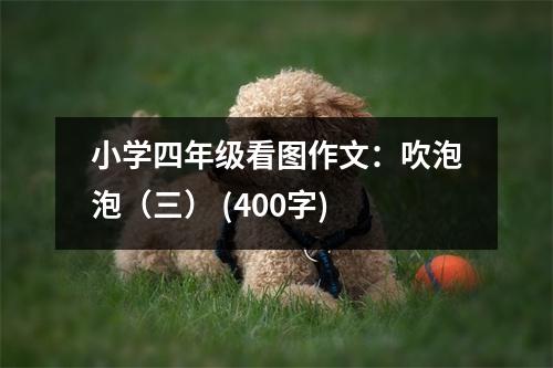 小學(xué)四年級看圖作文：吹泡泡（三） (400字)