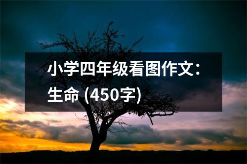 小學(xué)四年級看圖作文：生命 (450字)