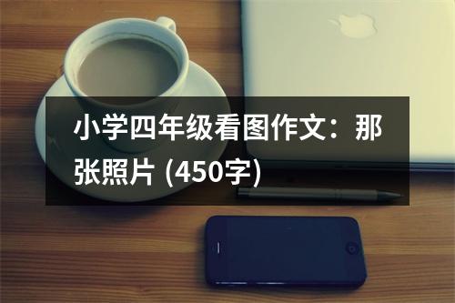 小學(xué)四年級看圖作文：那張照片 (450字)