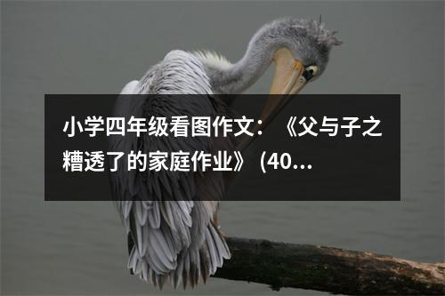 小學(xué)四年級看圖作文：《父與子之糟透了的家庭作業(yè)》 (400字)