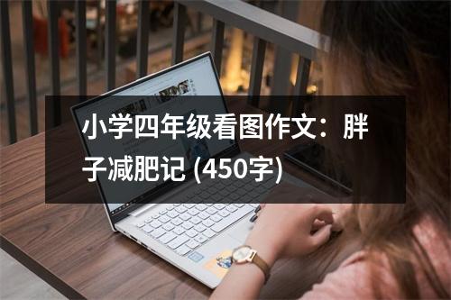 小學四年級看圖作文：胖子減肥記 (450字)
