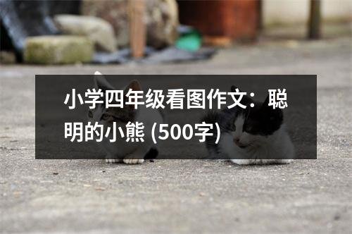 小學四年級看圖作文：聰明的小熊 (500字)