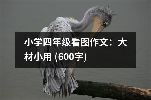 小學四年級看圖作文：大材小用 (600字)