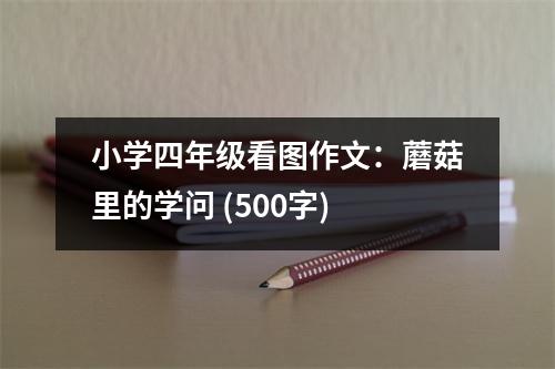 小學四年級看圖作文：蘑菇里的學問 (500字)