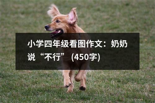 小學四年級看圖作文：奶奶說“不行” (450字)