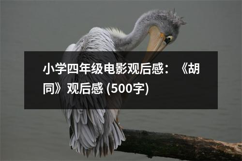 小學(xué)四年級電影觀后感：《胡同》觀后感 (500字)