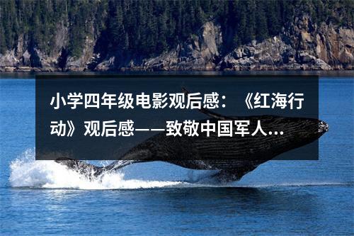小學四年級電影觀后感：《紅海行動》觀后感——致敬中國軍人 (450字)