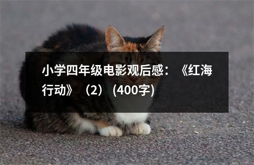 小學(xué)四年級電影觀后感：《紅海行動》（2） (400字)