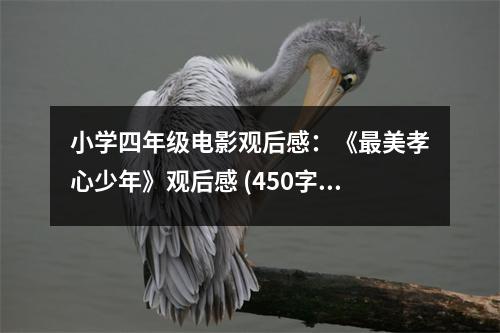 小學(xué)四年級(jí)電影觀后感：《最美孝心少年》觀后感 (450字)