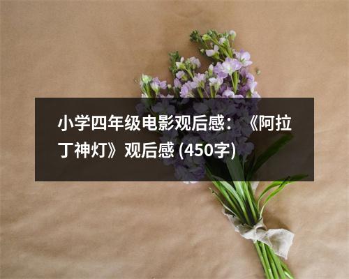 小學(xué)四年級(jí)電影觀后感：《阿拉丁神燈》觀后感 (450字)