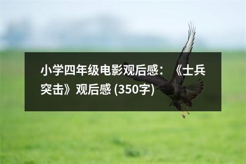 小學(xué)四年級電影觀后感：《士兵突擊》觀后感 (350字)