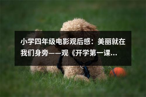 小學(xué)四年級(jí)電影觀后感：美麗就在我們身旁——觀《開(kāi)學(xué)第一課》有感 (400字)