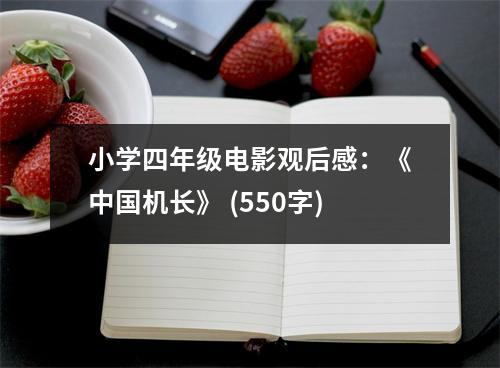 小學四年級電影觀后感：《中國機長》 (550字)