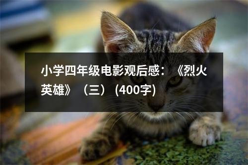 小學(xué)四年級電影觀后感：《烈火英雄》（三） (400字)