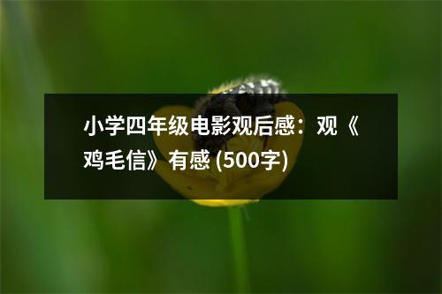 小學四年級電影觀后感：觀《雞毛信》有感 (500字)