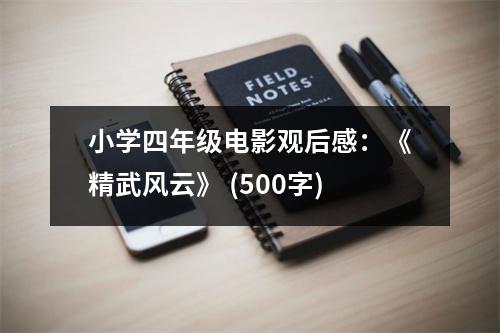 小學四年級電影觀后感：《精武風云》 (500字)
