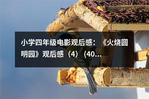 小學四年級電影觀后感：《火燒圓明園》觀后感（4） (400字)