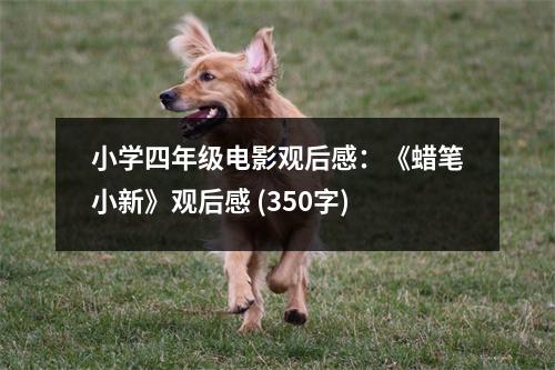小學(xué)四年級電影觀后感：《蠟筆小新》觀后感 (350字)