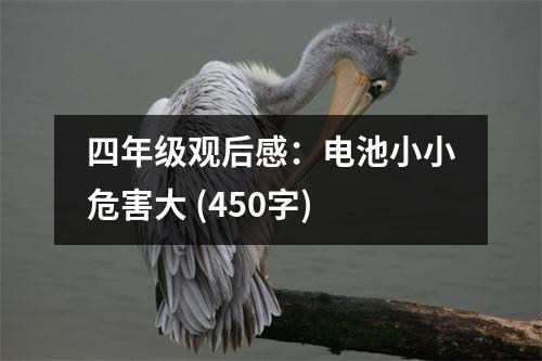 四年級觀后感：電池小小危害大 (450字)
