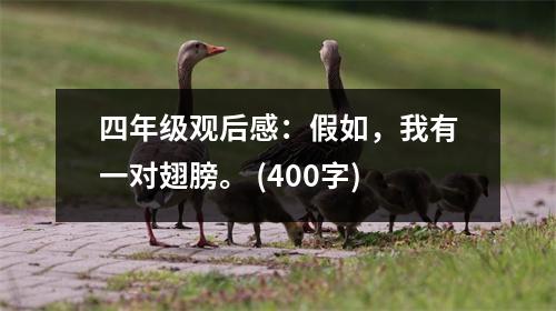 四年級觀后感：假如，我有一對翅膀。 (400字)