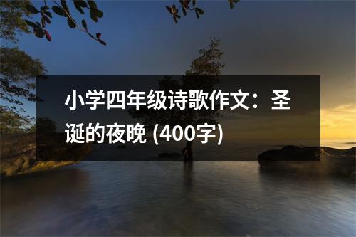 小學(xué)四年級(jí)詩歌作文：圣誕的夜晚 (400字)
