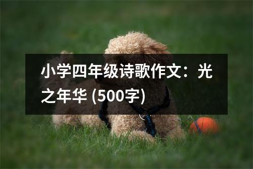 小學(xué)四年級(jí)詩(shī)歌作文：光之年華 (500字)