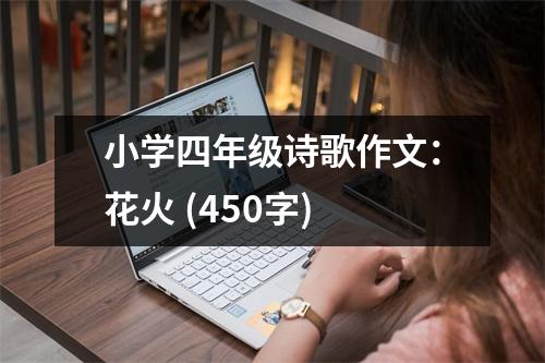 小學(xué)四年級(jí)詩(shī)歌作文：花火 (450字)