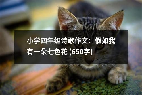 小學(xué)四年級詩歌作文：假如我有一朵七色花 (650字)