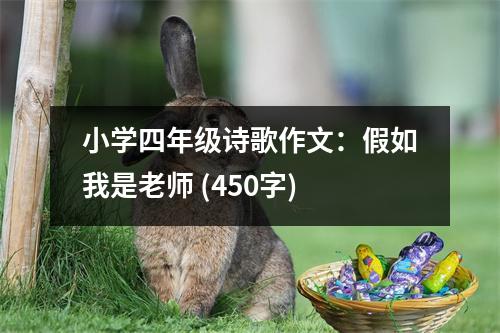 小學四年級詩歌作文：假如我是老師 (450字)