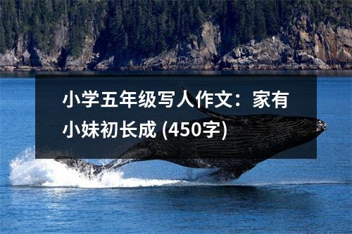 小學(xué)五年級(jí)寫(xiě)人作文：家有小妹初長(zhǎng)成 (450字)