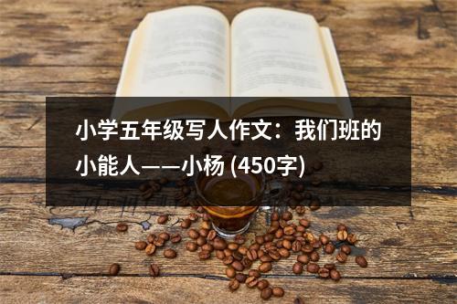 小學(xué)五年級寫人作文：我們班的小能人——小楊 (450字)