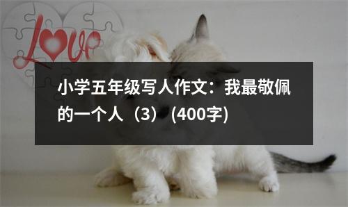 小學(xué)五年級(jí)寫人作文：我最敬佩的一個(gè)人（3） (400字)