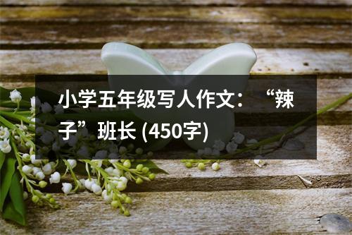 小學(xué)五年級寫人作文：“辣子”班長 (450字)