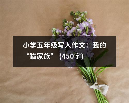 小學五年級寫人作文：我的“貓家族” (450字)