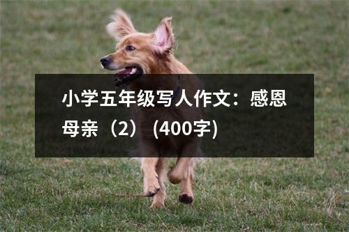 小學(xué)五年級(jí)寫人作文：感恩母親（2） (400字)