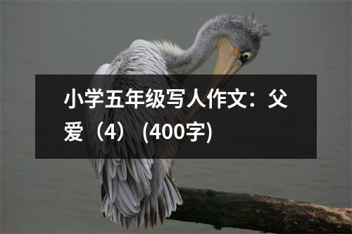 小學五年級寫人作文：父愛（4） (400字)