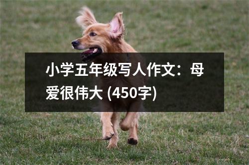 小學(xué)五年級(jí)寫(xiě)人作文：母愛(ài)很偉大 (450字)