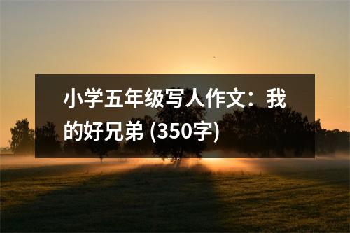 小學(xué)五年級寫人作文：我的好兄弟 (350字)